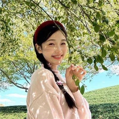 追鹰日记